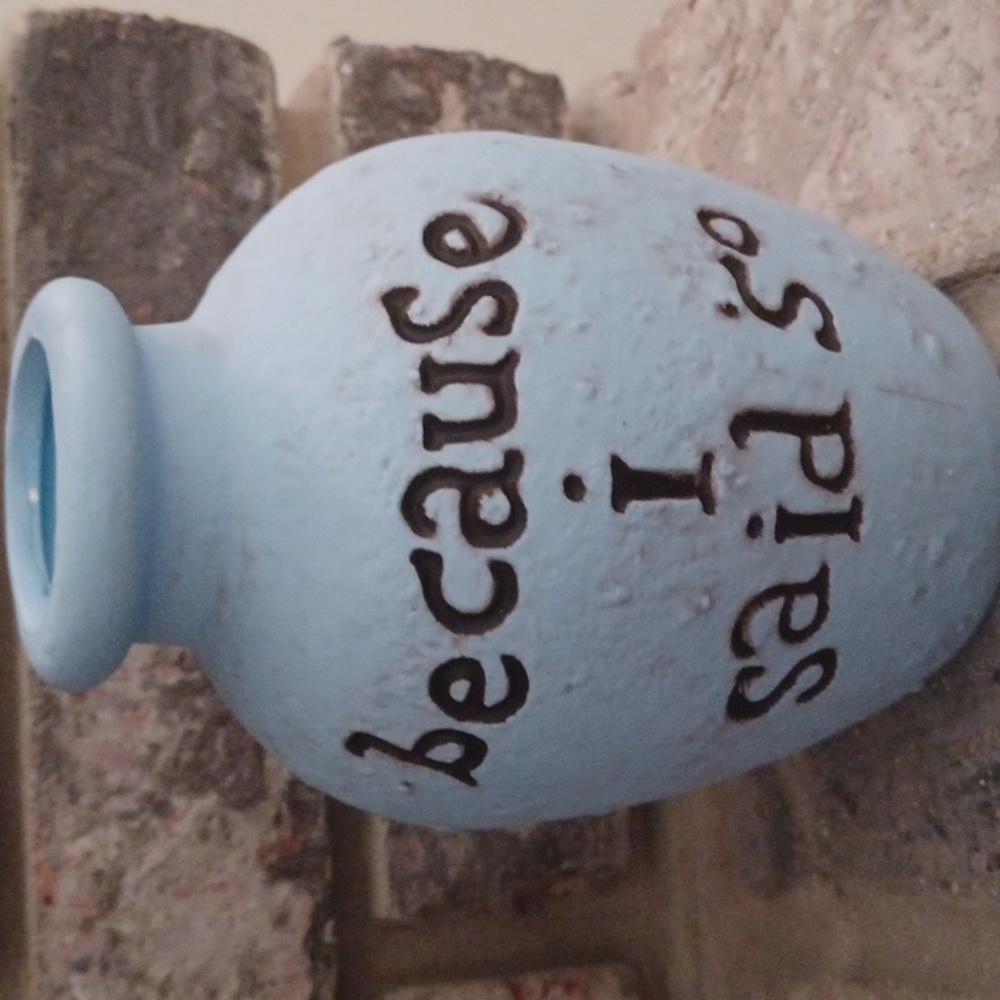 4/$18-because i said so" blue vase